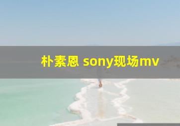 朴素恩 sony现场mv